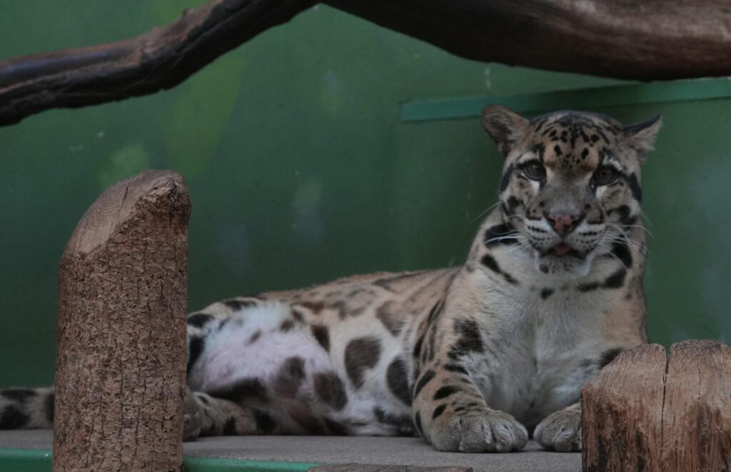 Zoo Prag