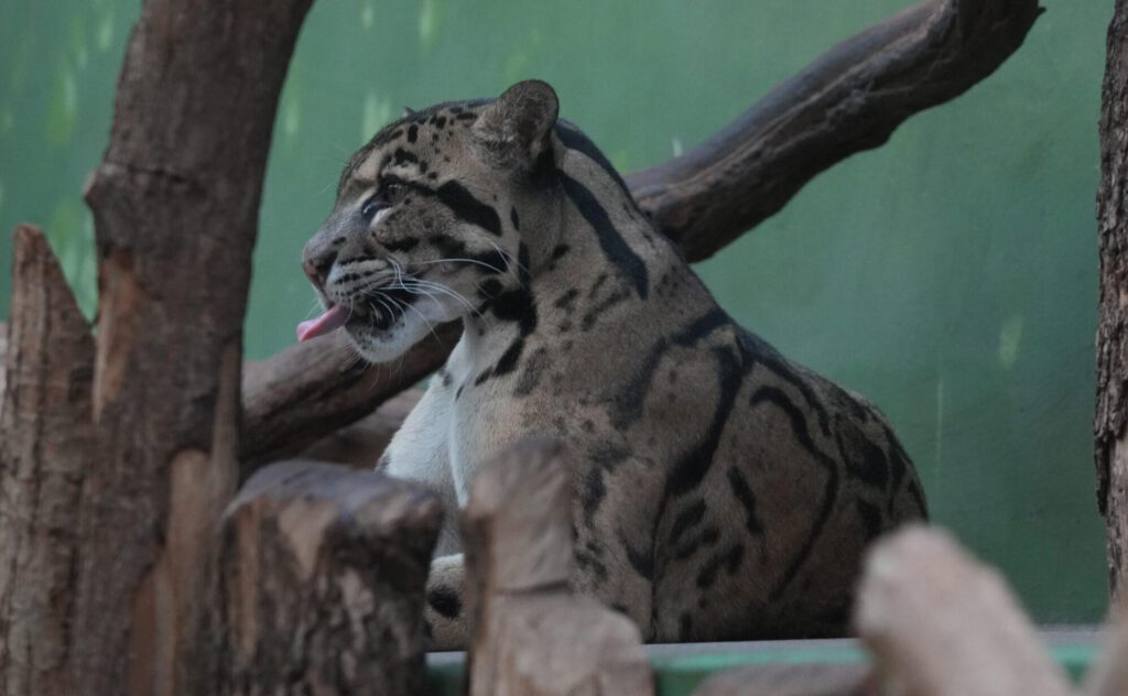 Zoo Prag