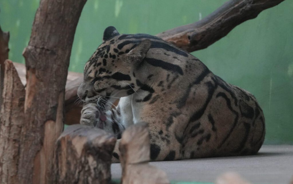 Zoo Prag