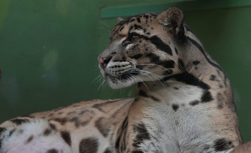Zoo Prag