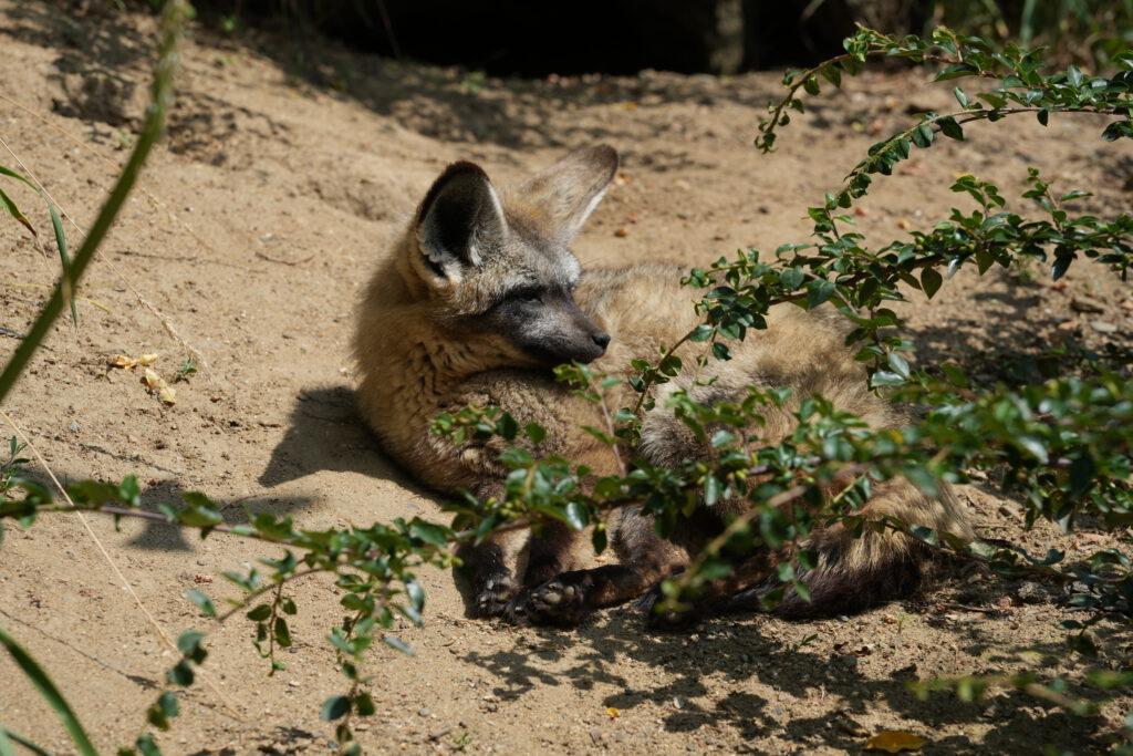 Zoo Prag