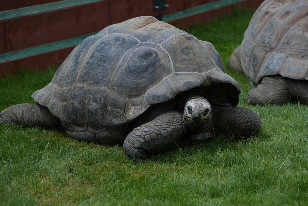 Zoo Prag