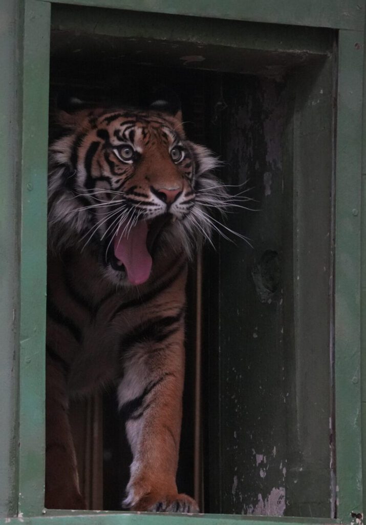 Zoo Prag