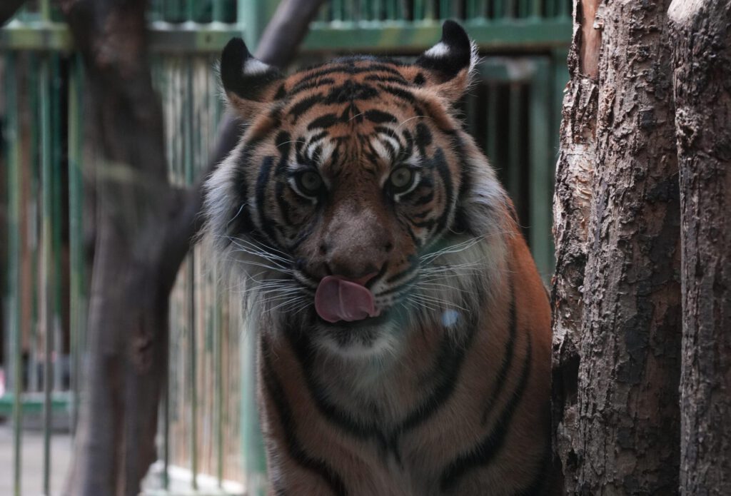 Zoo Prag