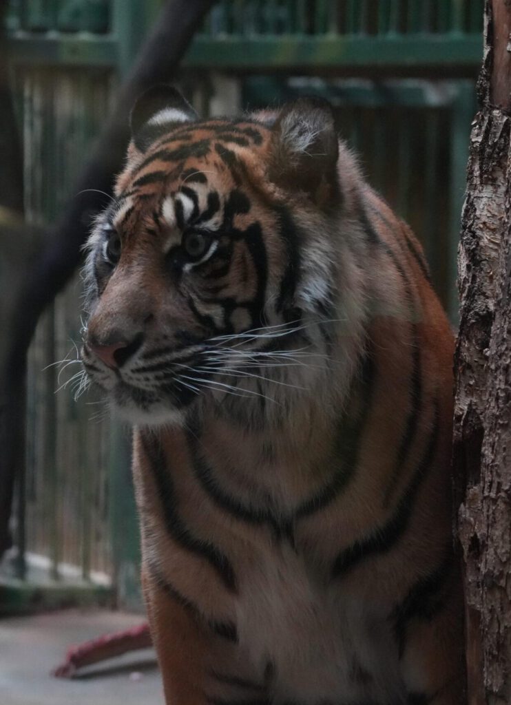 Zoo Prag