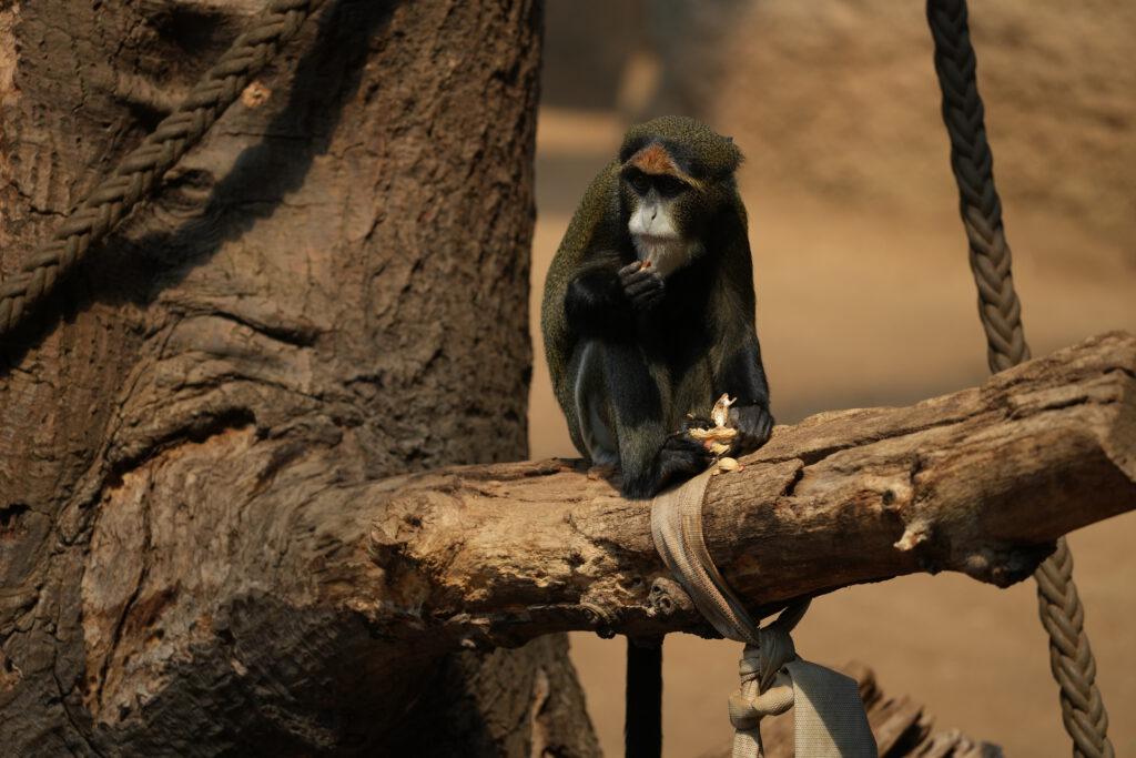 Zoo Rostock