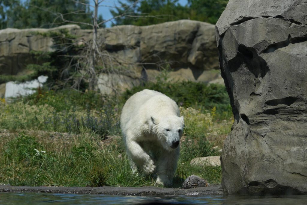 Zoo Rostock
