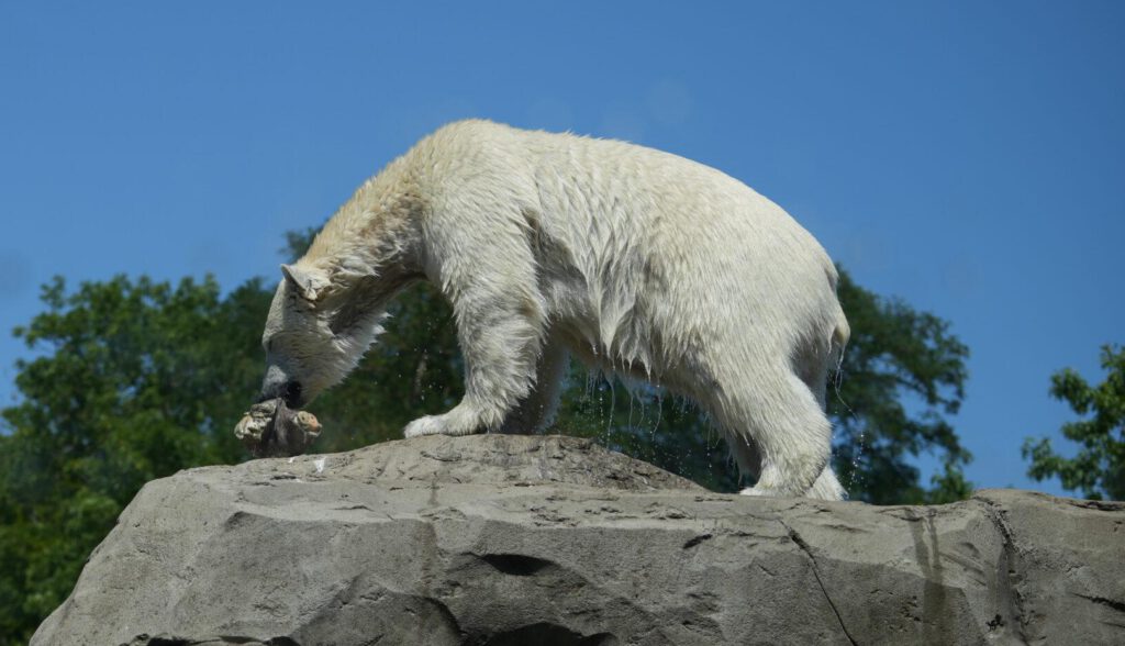 Zoo Rostock