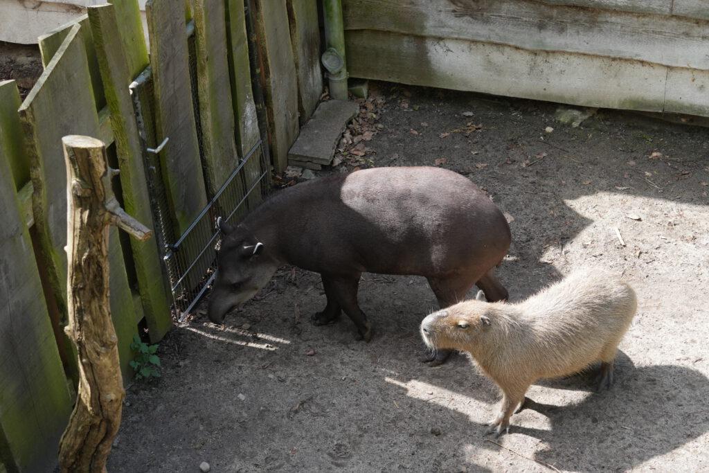 Zoo Schwerin